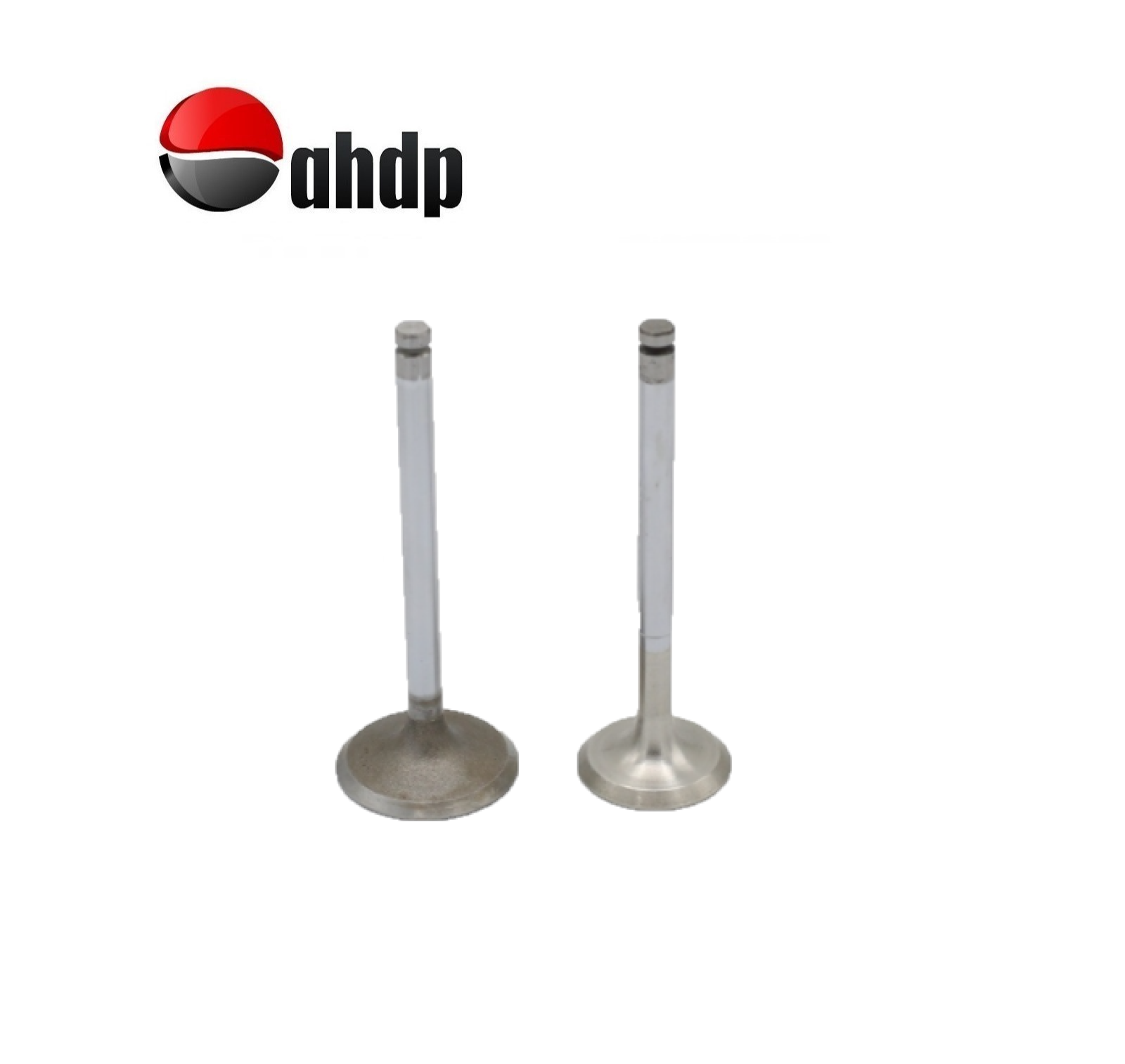 ENGINE VALVE SET IN+EX LOMBARDINI - LI019652019, LI019685031